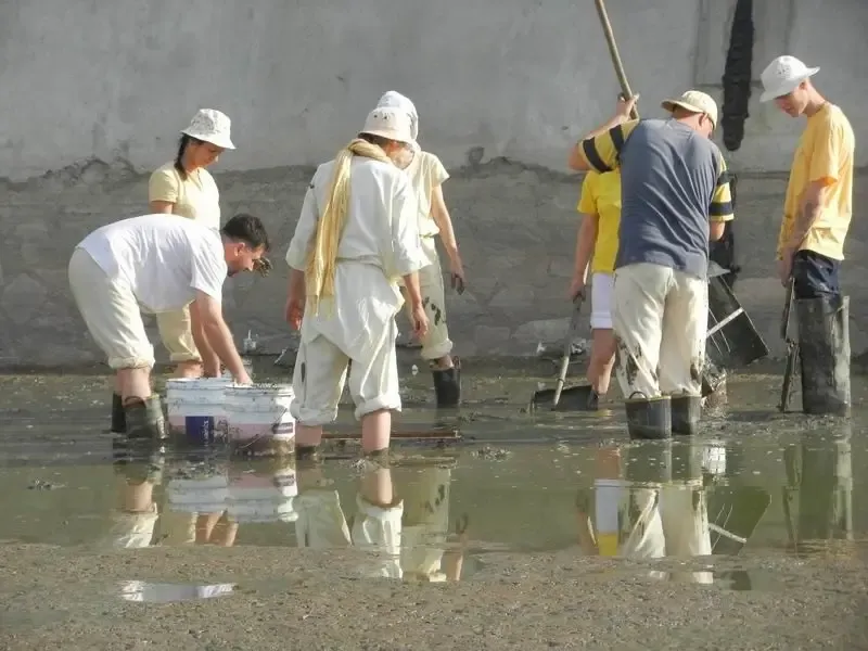 rescuing-water-animals-from-the-drying-out-talab-in-jadan-ashram mainImage